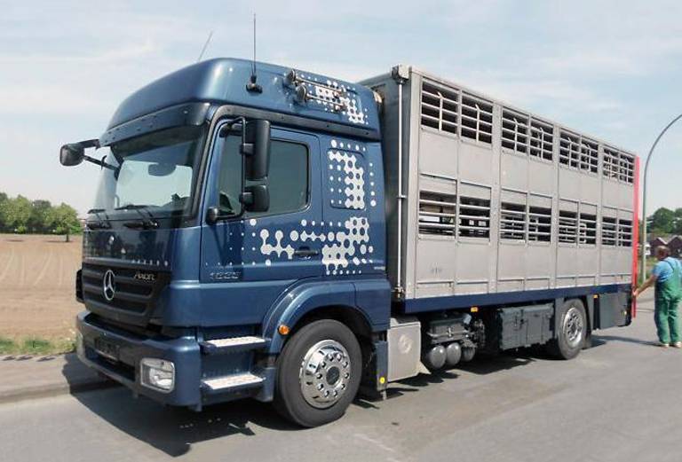 Перевезти крупный рогатый скота, другие животные автотранспортом из Жарковского в Износки
